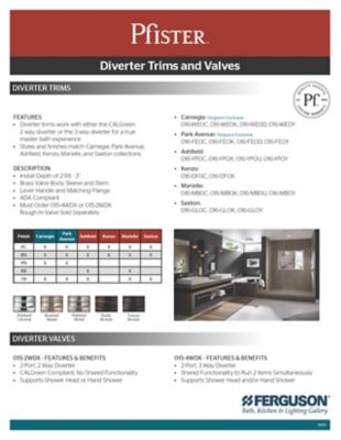 Diverter Valves and Trims - Ferguson Cover Thumbnail